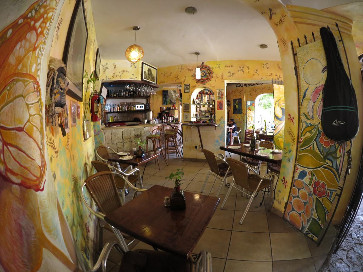 Casa Tucan Hotel Playa del Carmen Eksteriør bilde
