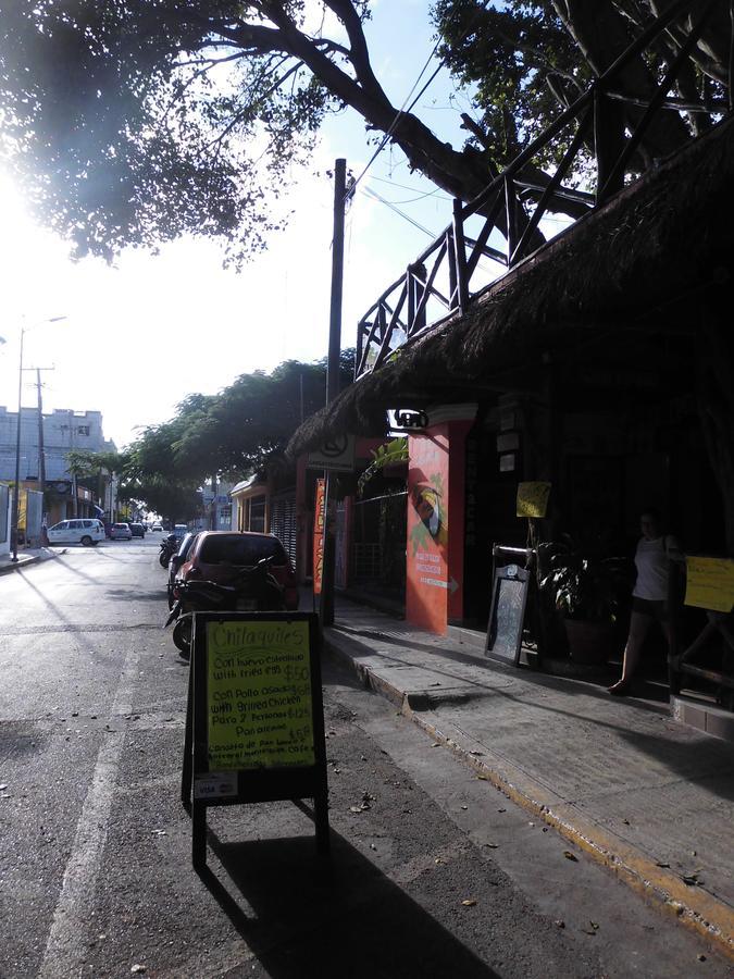 Casa Tucan Hotel Playa del Carmen Eksteriør bilde