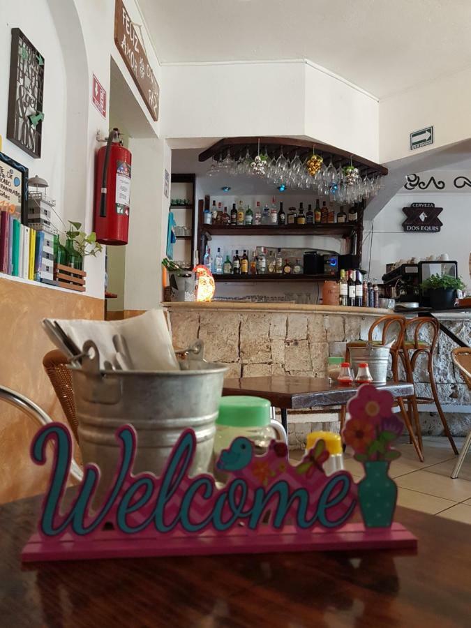 Casa Tucan Hotel Playa del Carmen Eksteriør bilde