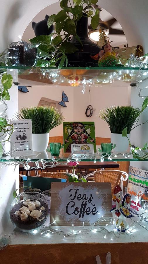 Casa Tucan Hotel Playa del Carmen Eksteriør bilde